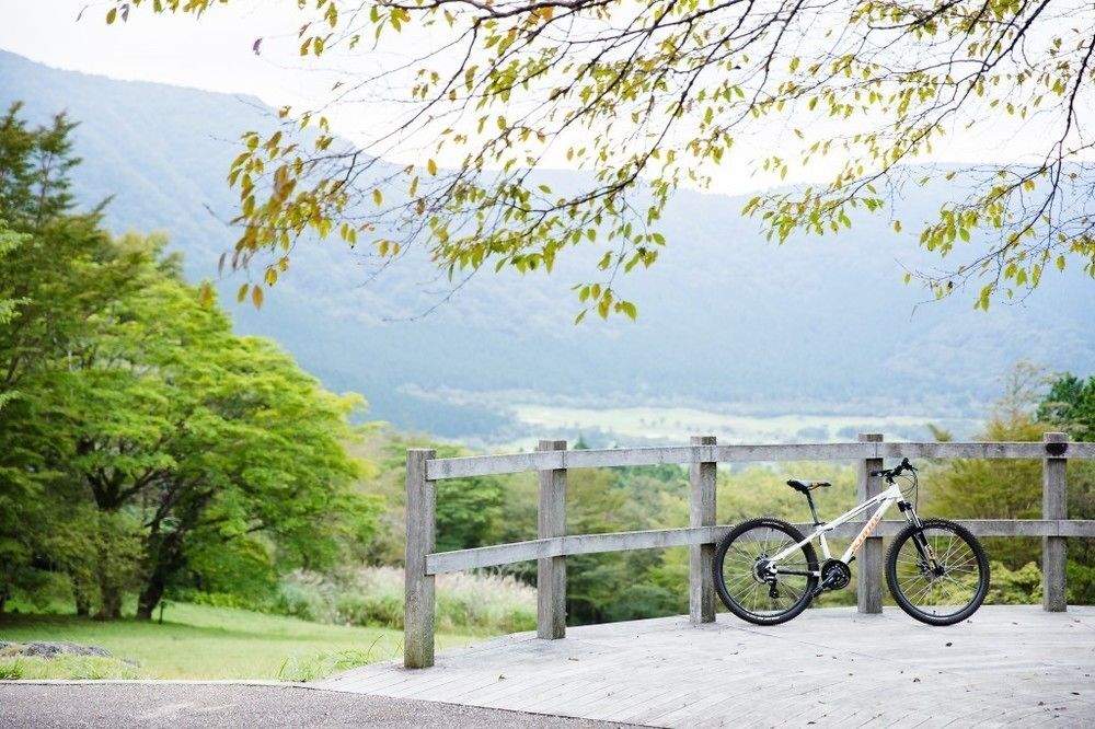 The Ashinoko